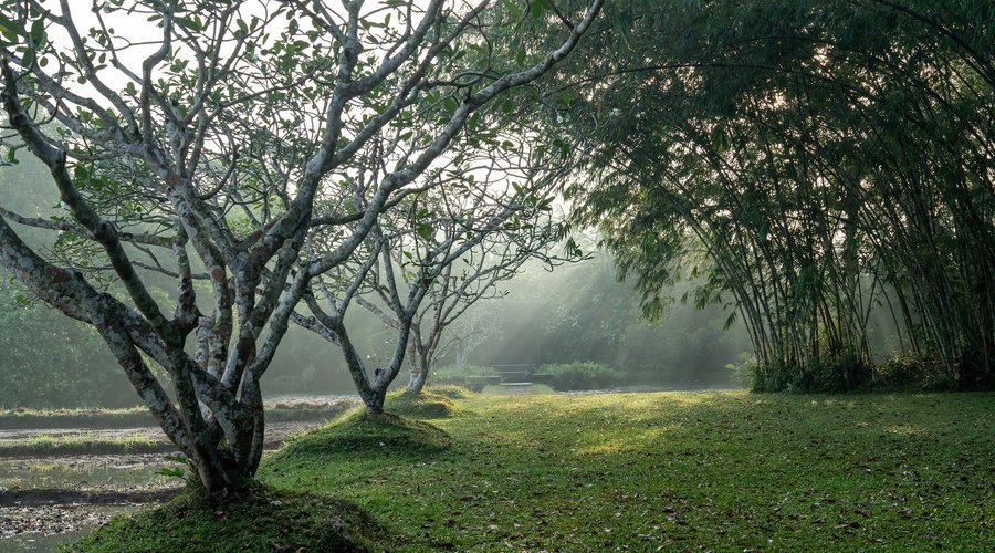 Gardens