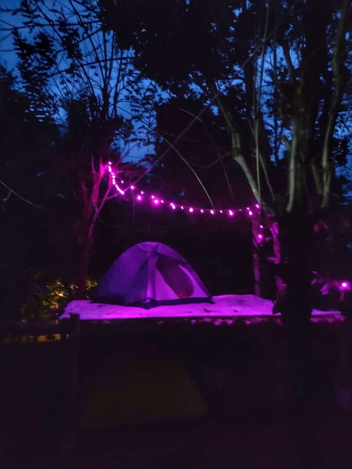 RITHU CAMPINGS (Muthanga) - Campground Reviews & Photos - Tripadvisor