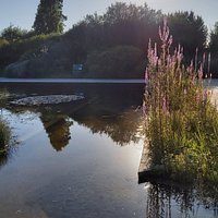 Estanque, Jardí botànic històric