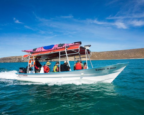 THE 10 BEST La Paz Kayaking & Canoeing Activities (Updated 2023)