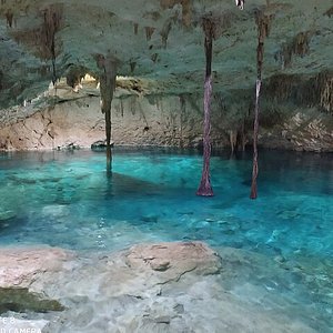 Casa Cenote (Tulum) - All You Need to Know BEFORE You Go