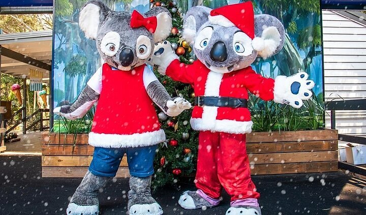 Koala mascots celebrating Christmas at Currumbin Wildlife Sanctuary, NSW