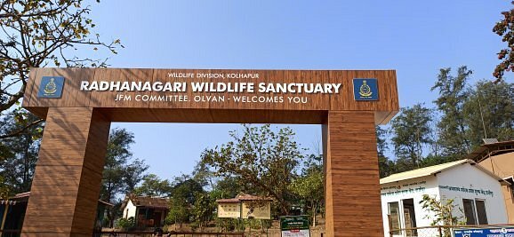 Radhanagari Wildlife Sanctuary: A Biodiverse Haven Awaits Radhanagari Wildlife Sanctuary: A Biodiverse Haven Awaits
