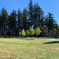 Beautiful greenspace