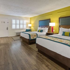 Best Western Hibiscus Motel in Key West, image may contain: Canopy, Awning, Villa, Tree