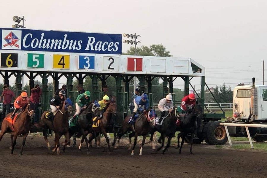Columbus Races Thoroughbred Track image