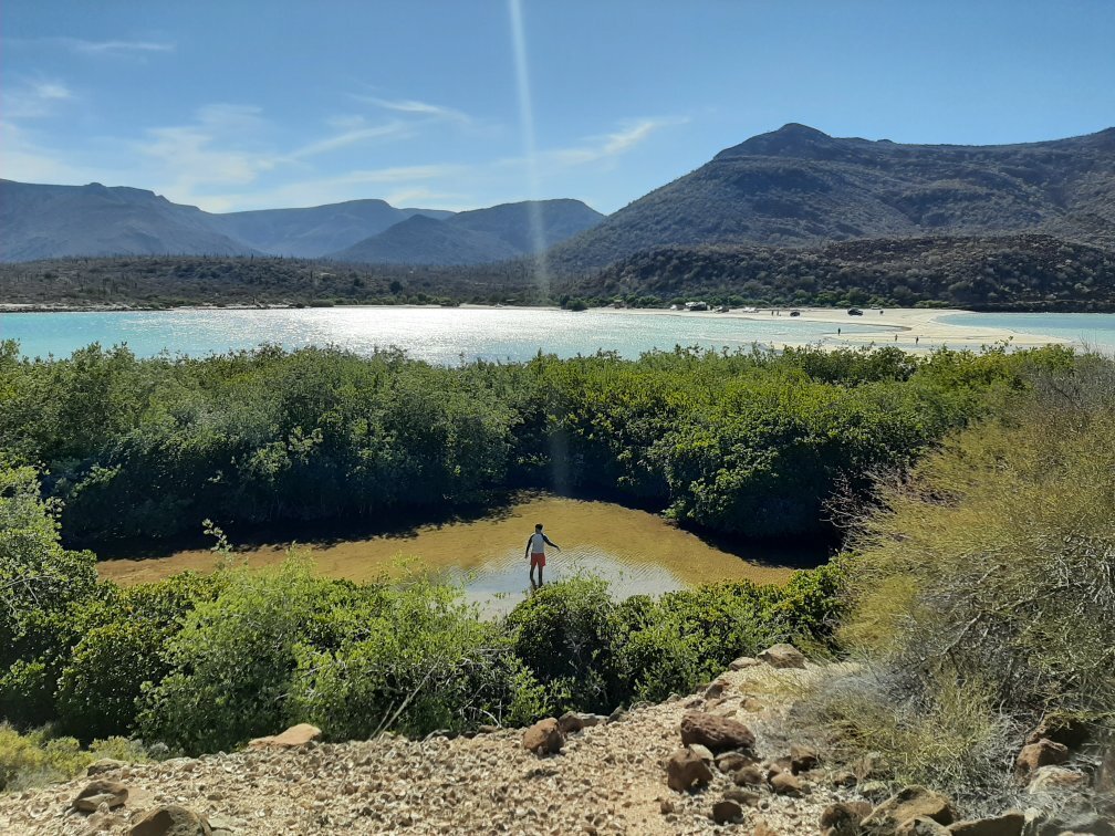 Playa el Requeson (Loreto) - All You Need to Know BEFORE You Go