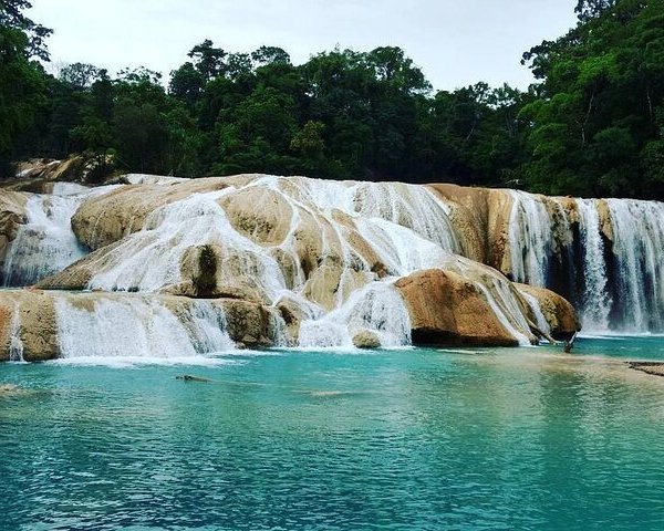 National Park of Palenque - Tripadvisor