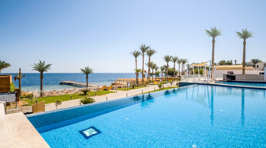 Infinity Pool