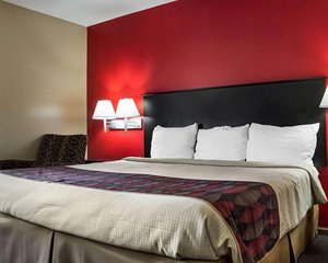 Room & Suite