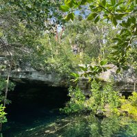 Cenote Cristalino (Playa del Carmen) - All You Need to Know BEFORE You Go