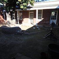 The garden