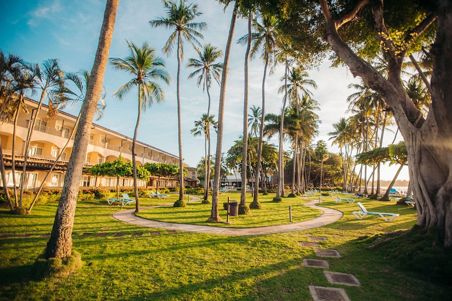 Tamarindo Diria Hotel (Costa Rica) : tarifs 2021 mis à jour, 88 avis et