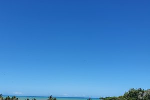 Viajante