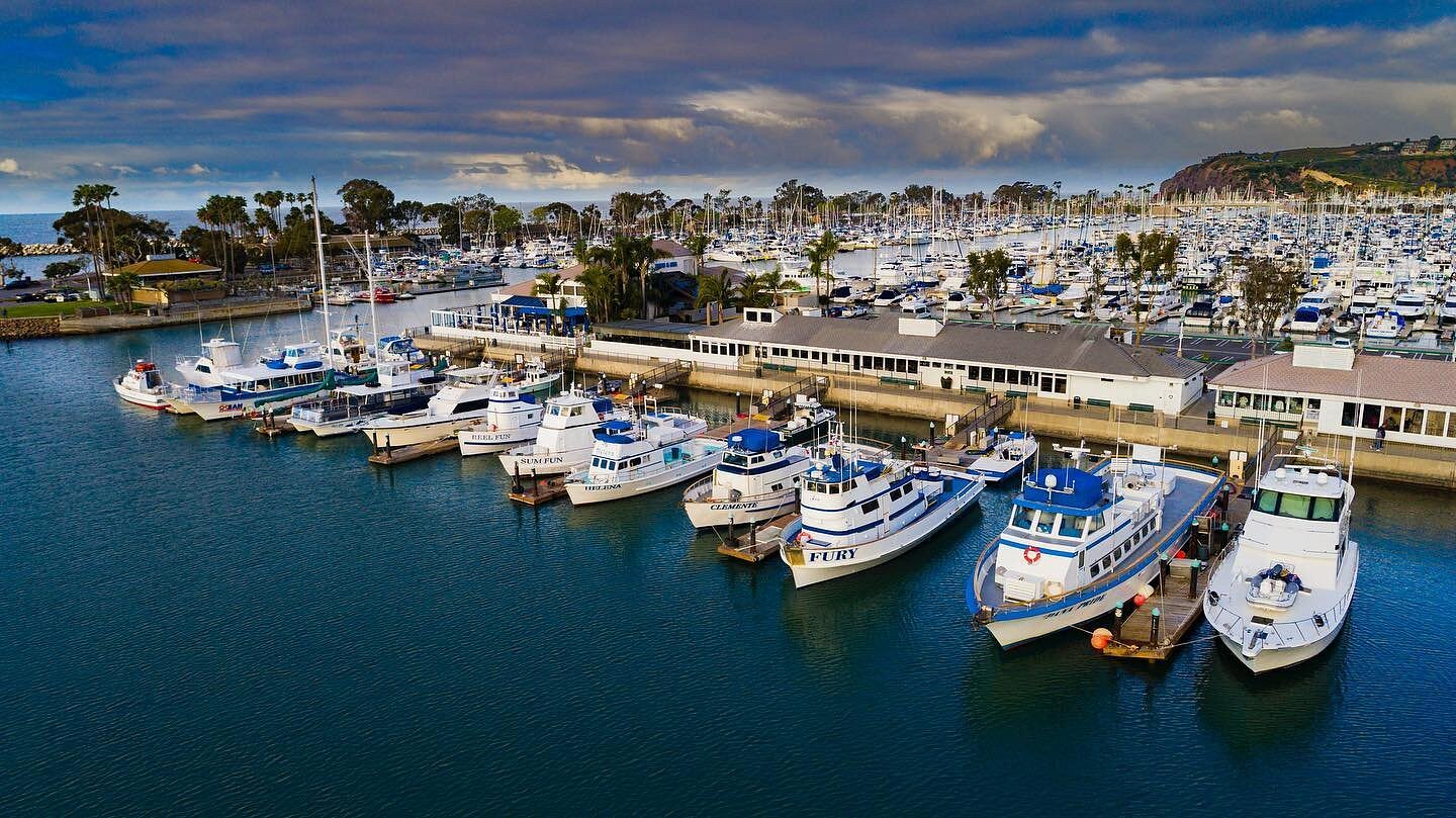 Dana Wharf Whale Watching & Sportfishing (Dana Point) All You Need to