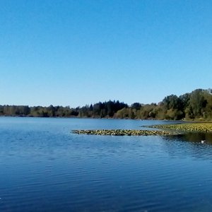 Deer Park within walking distance