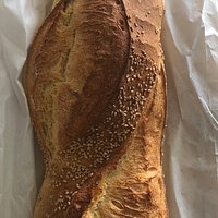 Lu Pistuluni inciminatu !