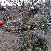 Abbey Physic Community Gardens