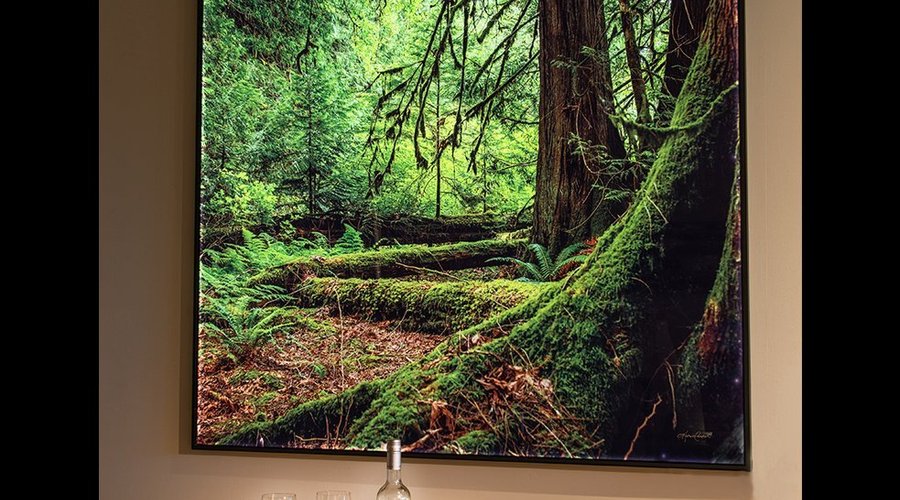 Our latest release, Backlit Photolucents® is able to view and purchase in our gallery. 

These pieces are equipped with dimming remotes to simulate the different times of day through the perspective of bring in an old-growth forest. 