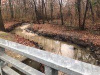 are dogs allowed in valley stream state park