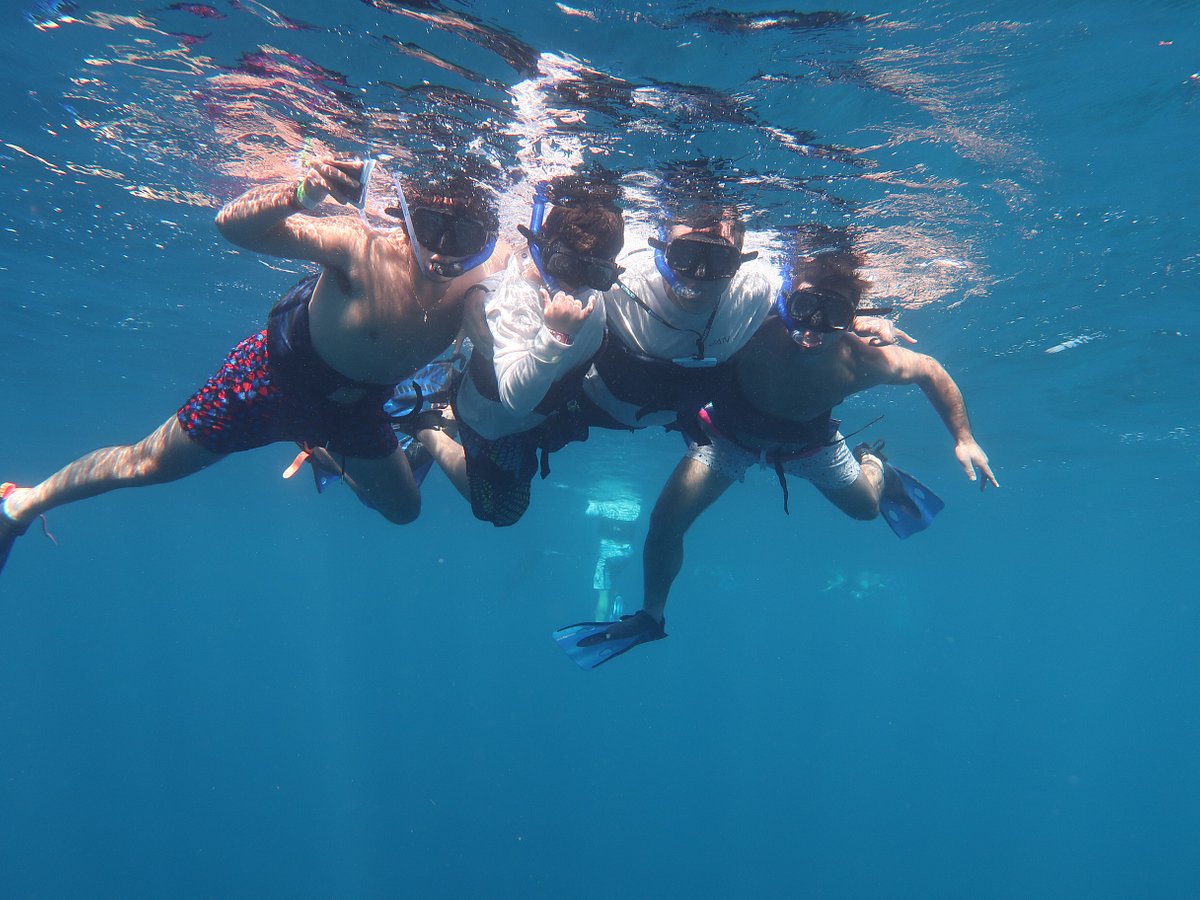 Cozumel Reef Snorkeling and Sailing Adventure - All You Need to Know ...