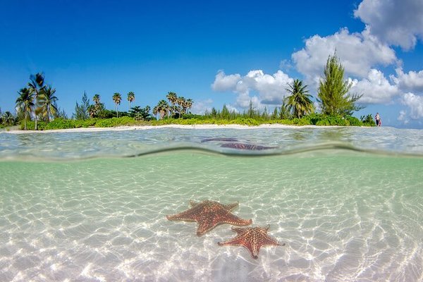 Bioluminescent Bay (Grand Cayman) - All You Need to Know BEFORE You Go