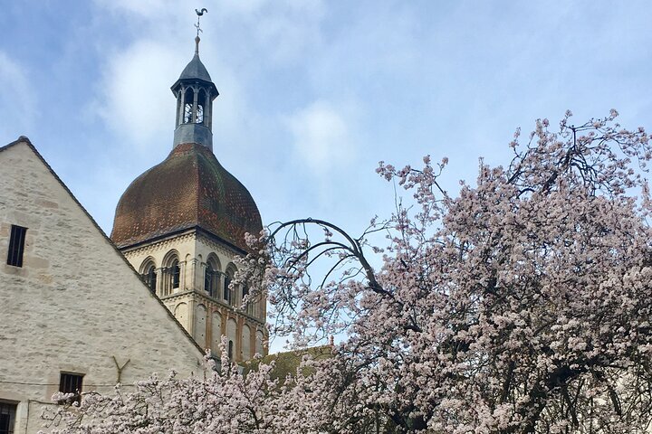 2024 Small Group Guided Tour - Beaune 2h