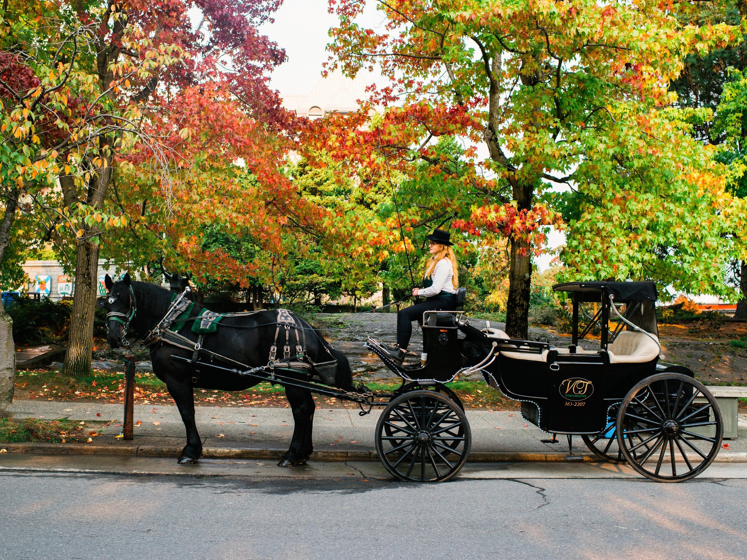 VICTORIA CARRIAGE TOURS - 2022 What to Know BEFORE You Go