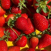 Berries for days !!!!