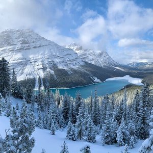 PEYTO LAKE (Lake Louise) - All You Need to Know BEFORE You Go - Updated ...