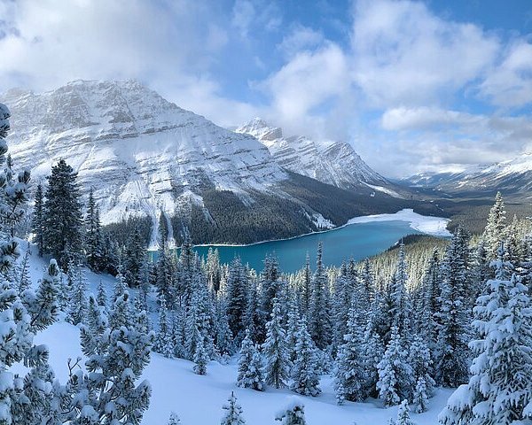 Fairmont Chateau Lake Louise - All You Need to Know BEFORE You Go