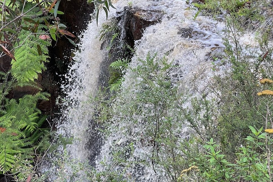 Currawong Falls image