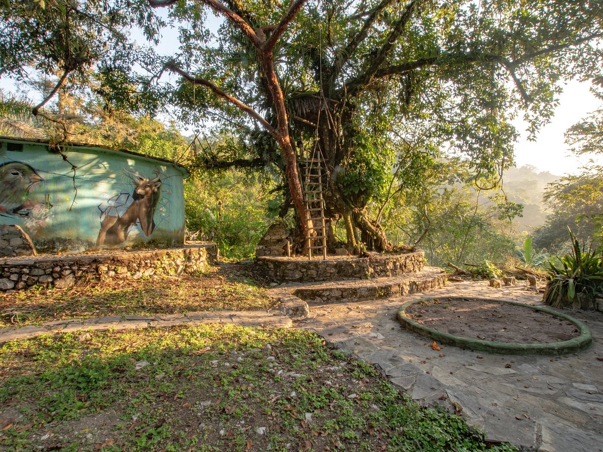 CASA CARACOL (Xilitla) - отзывы и фото - Tripadvisor