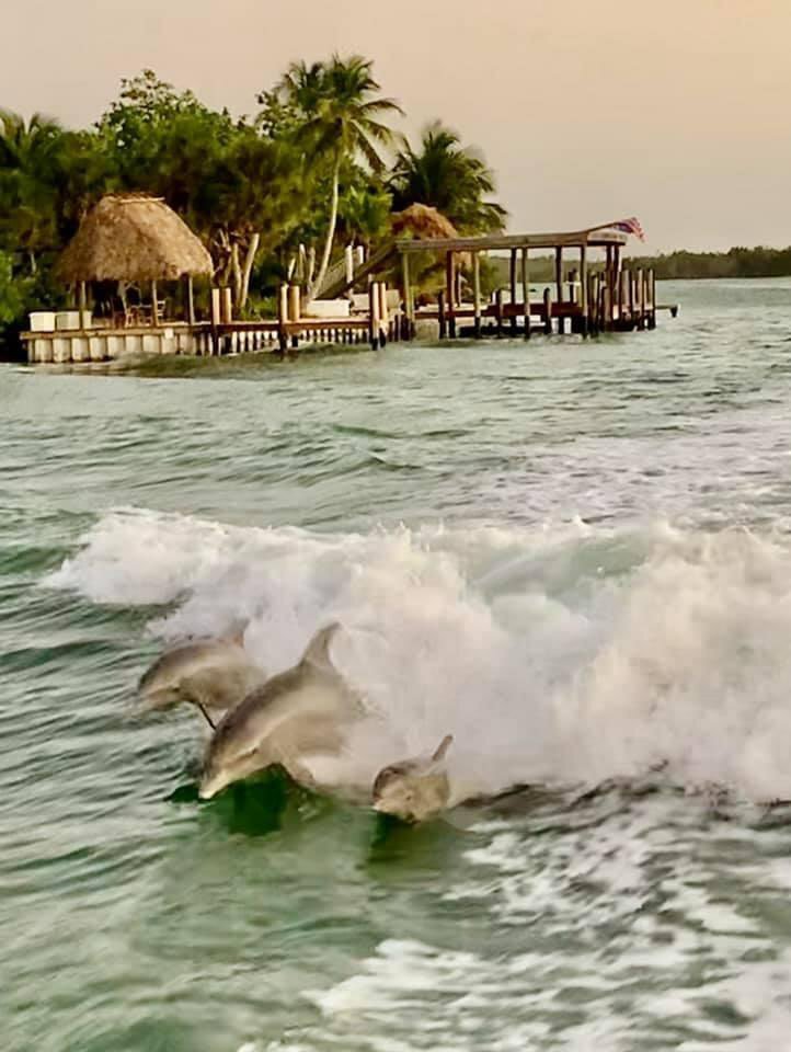 Marco Charters (Marco Island, FL): Hours, Address - Tripadvisor