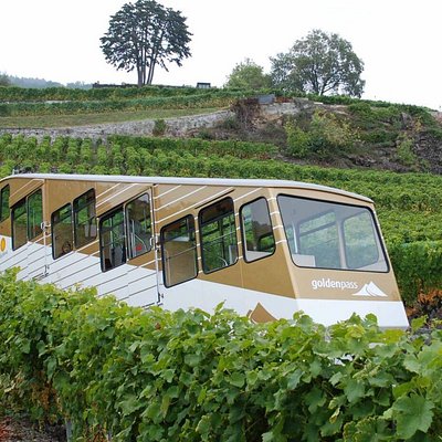 The 15 Best Things To Do In Vevey 2021 With Photos Tripadvisor