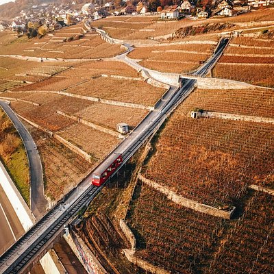 The 10 Best Things To Do In Vevey 2021 With Photos Tripadvisor Must See Attractions In Vevey Switzerland