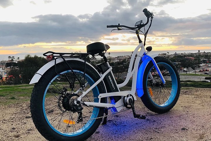 Fat bike store in the city