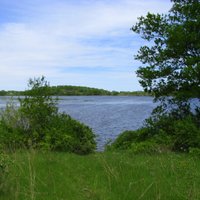 Dorothy Carnes County Park & Rose Lake State Natural Area (Fort ...