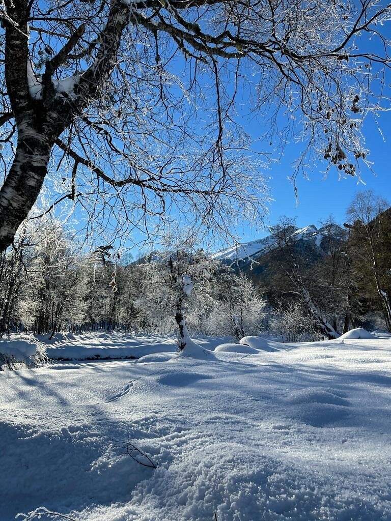 BAZA OTDYHA ARKHYZ CITY (Архыз) - отзывы и фото - Tripadvisor