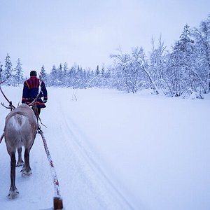 dejt aktiviteter i kiruna