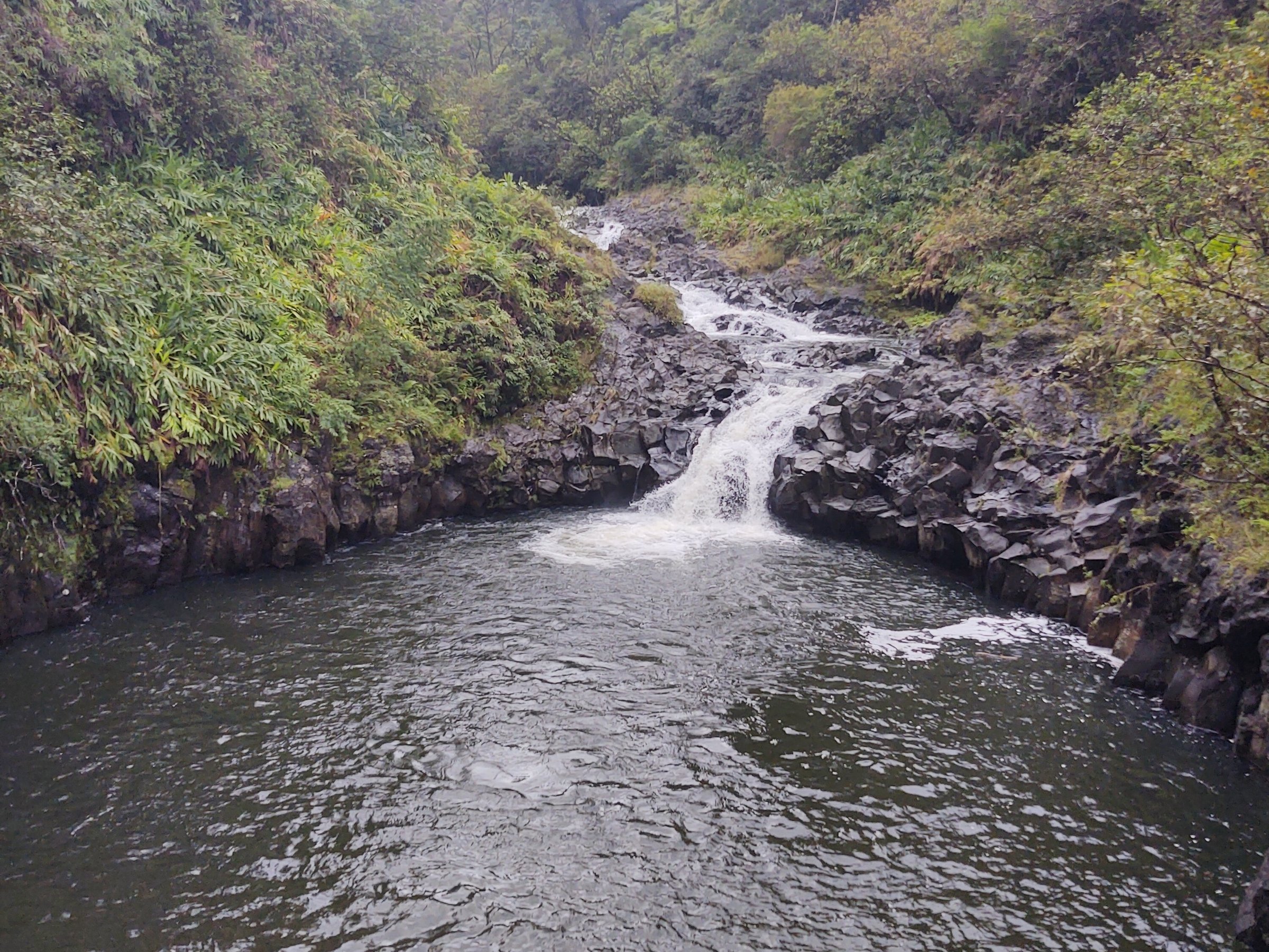 The Maui Road to Hana Tour Company (Paia) All You Need to Know BEFORE