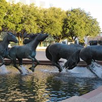 Mustangs Of Las Colinas (irving) - All You Need To Know Before You Go