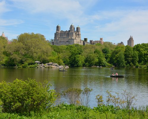 A Stroll Through Central Park in NYC