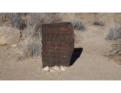 Joshua Tree National Park review images