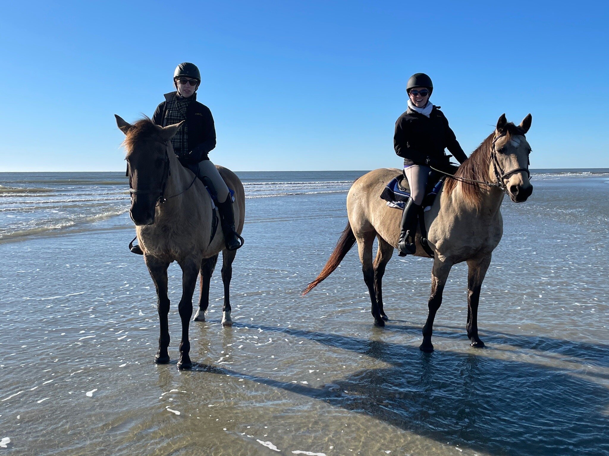 Seabrook Island Equestrian Center - All You Need To Know BEFORE You Go ...