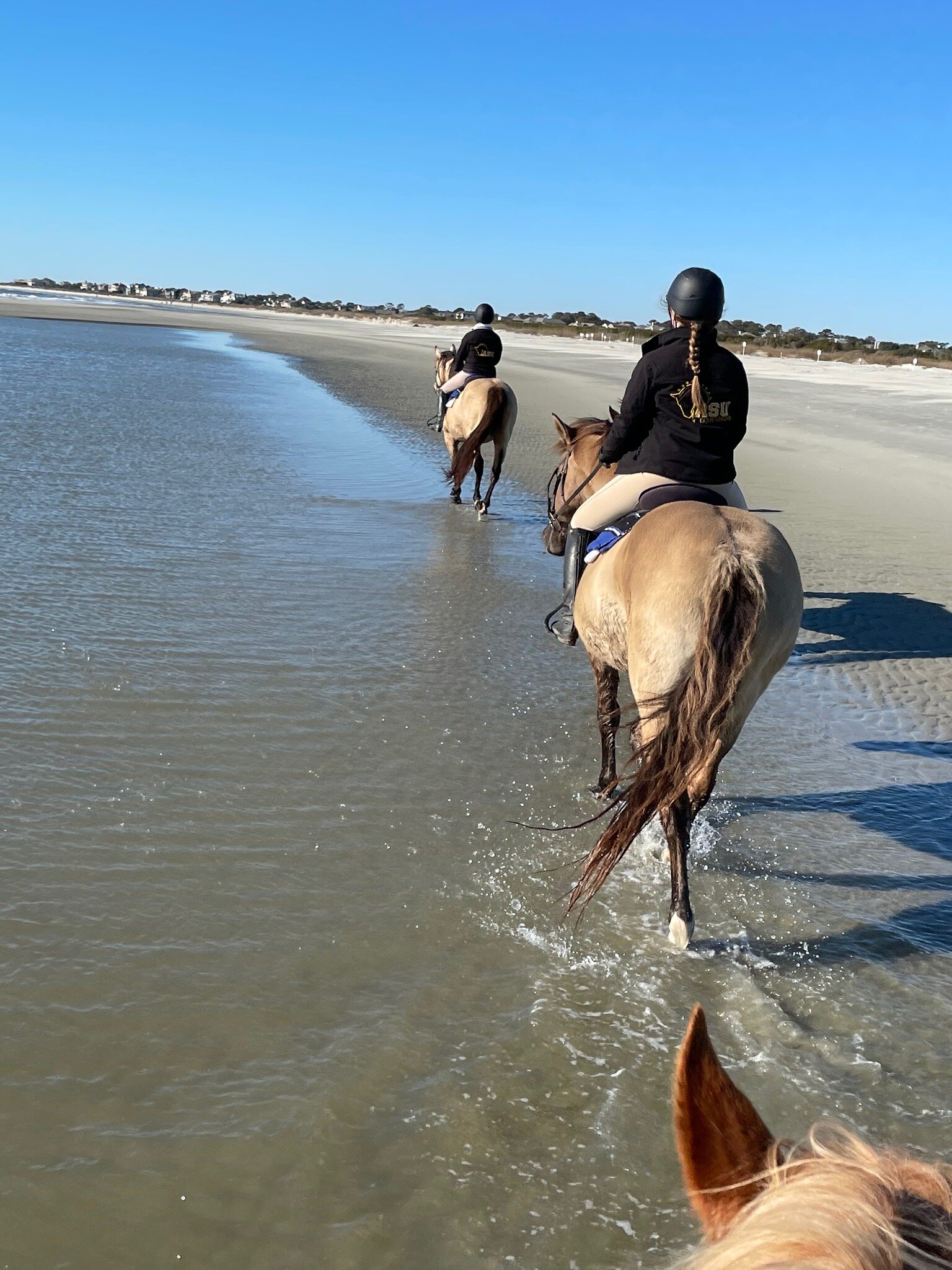 Seabrook Island Equestrian Center - All You Need To Know BEFORE You Go ...