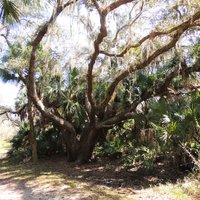 Myakkahatchee Creek Environmental Park - All You Need to Know BEFORE ...