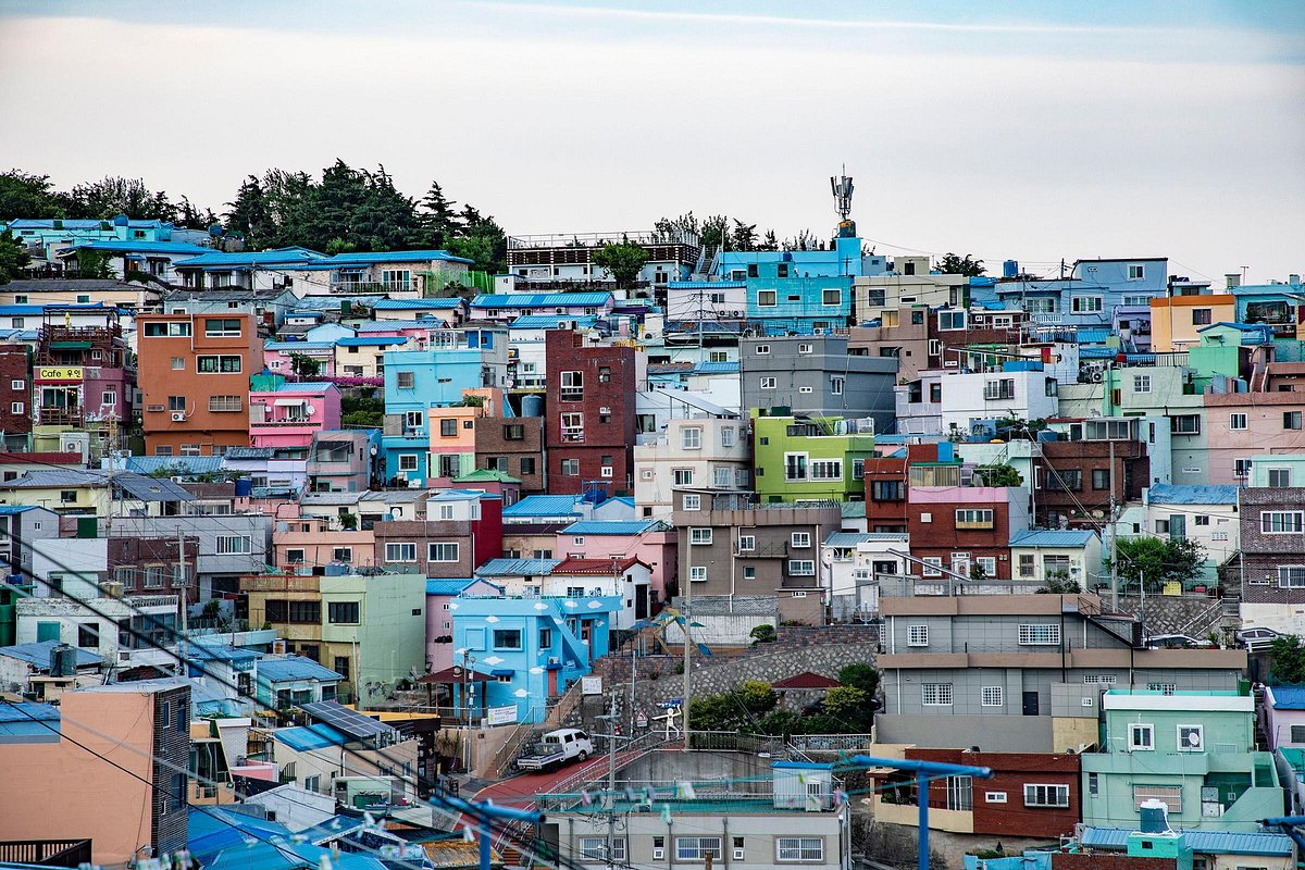Apartment blocks in Busan