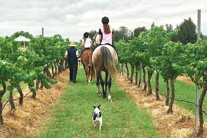 Crianças a andar a cavalo na Misty Glen Wines, uma adega e casa de campo adequada para famílias e animais de estimação em Pokolbin, Nova Gales do Sul