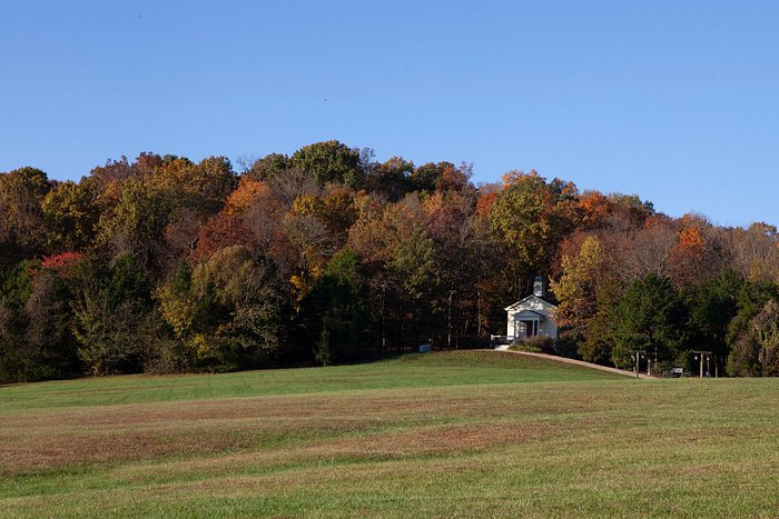 https://dynamic-media-cdn.tripadvisor.com/media/photo-o/1c/92/16/37/chaumette-vineyards-winery.jpg?w=700&h=-1&s=1